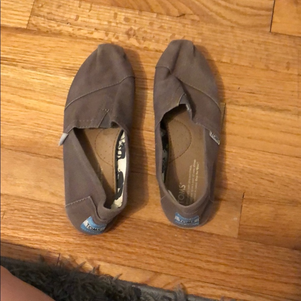 Grey Toms